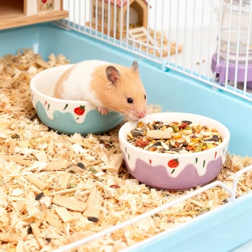 Wontee Hamster Food Bowl 2 Pack Ceramic Food Water Bowl Anti-Tipping for Dwarf Hamsters Gerbil Mice Hedgehog Guinea Pig (Blue+Purple) - color: Blue+Purple