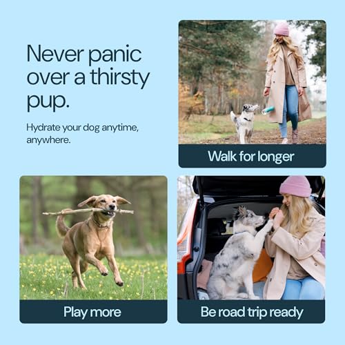MalsiPree Insulated Dog Water Bottle - 24 oz Blue, Stainless Steel | 24oz insulated steel bottle & bowl - leak-proof - Use for dog travel, hiking, park & beach days - color: Blue, size: 24oz - Insulated