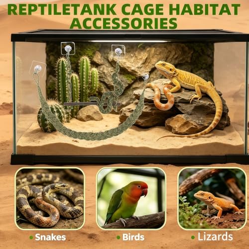 Snake Climbing Rope, Snake Enrichment Supplies, Lizard Climbing Toys, Small Reptile Climbing Toy, Snakes Ladders Toys, Reptile Tank Accessories, Snakes Tank Decoration for Ball Python rab Lizards