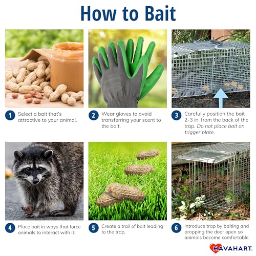 Havahart Medium 1-Door Live Animal Trap, Galvanized Steel Cage | Humane Catch and Release for Rabbit, Skunk, Mink, and Squirrel, Spring-Loaded Door, 1078SR