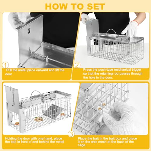 Squirrel Trap Live Animal Humane Cage Trap Catch Rats, Mice, Chipmunk, Weasel and Other Rodents for Indoor and Outdoor