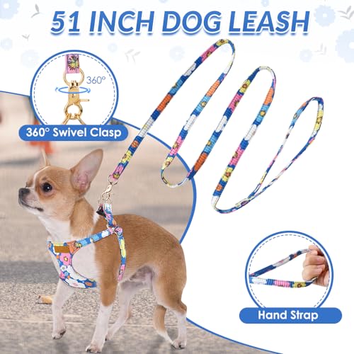 Lukovee Puppy Harness and Leash Set, No Pull, Lightweight Step in Vest | Adjustable, Soft Suede Vest, Easy Put on and off Pet Harness with Snap Buckle & 51in Leash for Small Medium Dogs (Blue, XXS) - color: ·Blue Flower, size: XX-Small ( 2.2-6lb )