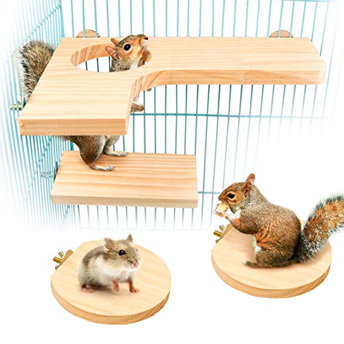 Roundler Squirrel Gerbil Chinchilla and Dwarf Hamster L-shaped Round Hole Wooden Platform, Birds Parrots Activity Playground (style-1)