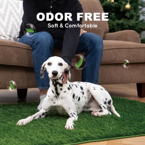 HQ4US 4LEGS Grass Pee Pads for Dogs Potty, Artificial Grass Patch Odor Free | 2PCS Fake Grass with Fully Permeable Backing for Fast Drainage, Indoor Potty Grass Hemmed Edge Turf, Easy Clean - size: XL - 43'' x 32'' for Dog＜ 38" Length
