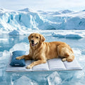 Dog Cooling Mat for Extra Large Dogs, 43”×30” Breathable Cooling Mat for Dogs & Cats Q-Max 0.485, Portable Washable Pet Cooling Mat for Dog Bed with Pillow, Thickened Cool Fiber Indoor/Outdoor Summer - size: X-Large（43.3”×30.7”）