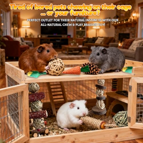 Rabbit Toys Bunny chew/Premium Guinea Pig Toys Natural Material Timothy Hay Sticks Apple Wood Sticks Handmade for Guinea Pig Hamster Rat Chinchilla - color: TOY-1-11