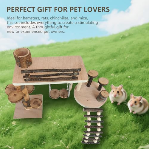 Wooden Hamster Playground & Activity Set, Hamster Climbing Toy, with Platform, Bridge, and Ladders for Small Pets (Wooden)