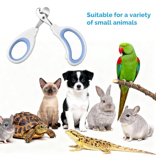 Stainless Steel Bearded Dragon Nail Clippers, Small Animal Nail Clippers, Cat Nail-Clipper, Professional Reptile Grooming Tool with Precise Angled Edge, Claw Trimmer for Birds, Cat, Dog Small Animals