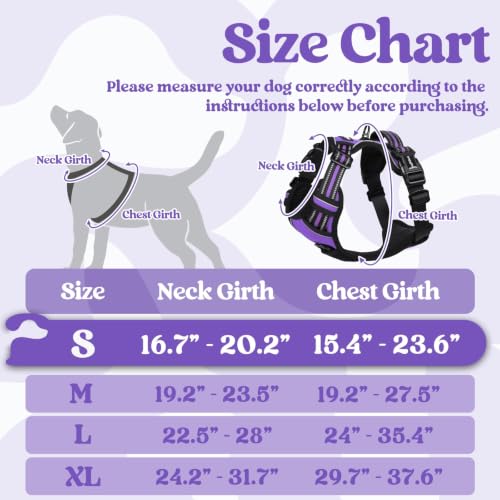 rabbitgoo Dog Harness Small Sized, Updated Easy On & Off with 3 Buckles | No Pull No Choke, Walking with 2 Clips and Handle, Adjustable Soft Reflective, Purple, Small - color: Purple, size: Small
