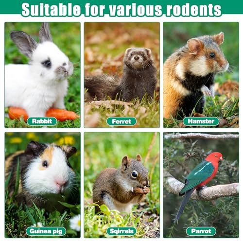 Saillong 1 Pack Rabbit Water Bottle, 32 oz No Drip Heated Water Bottle | For Rabbit, Hamster, Guinea Pig, Ferrets, Birds, Mouse, Cockatiel, Rats, Other Small Animal Pet, No Leak & Mess Mount Drinker
