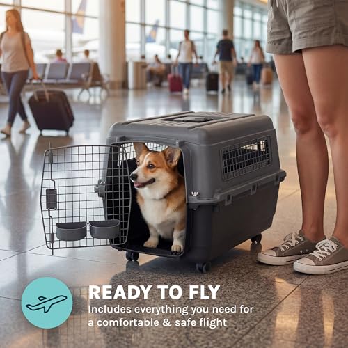 SportPet Airline Compliant MEDIUM 26.5" Travel Dog Kennel-Durable Plastic Airline Pet Carrier w/ Removable Wheels & Food Bowls, Collapsible Indoor/Outdoor Dog Kennel, Dogs up to 23"L & 15"H-Dark Gray - color: Dark Gray