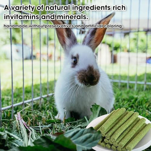 WDEFUN 45 PCS Timothy Hay Sticks for Rabbits Natural Molar Teeth Stick Chew Toys for Bunnies Chinchillas Guinea Pigs Hamsters and Other Small Animals Treats - size: 0.27 Ounce (Pack of 45)