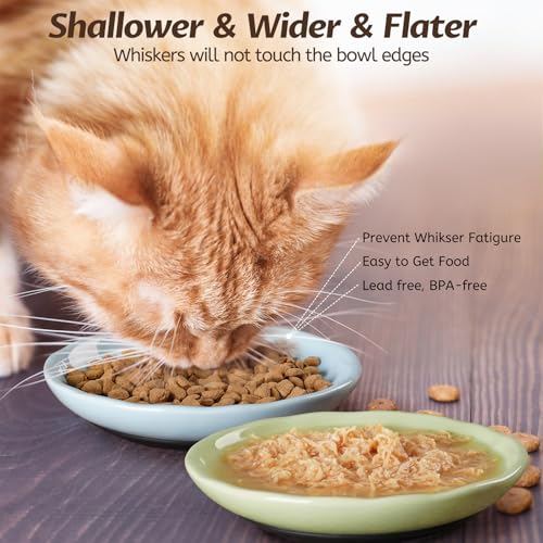WROSWT Non-Slip Cat Food Bowl,Healthy Ceramic Cats Bowls with Silicone Bottom, Anti-Whisker Fatigue Cat Dishes Set, Shallow & Wide Kitten Plates for Food and Water, 4 Pack - size: Wave-4 Pack