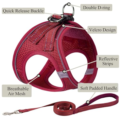 Dog Harness with Leash Set, Step-in Adjustable Puppy Pet Vest, Red XXS | Lightweight Breathable Air Mesh, Night Safety Reflective, No Pull Puppy Vest Harnesses for Small Medium Large Dogs, Cats - color: Red, size: XXS(Chest:10"-12")
