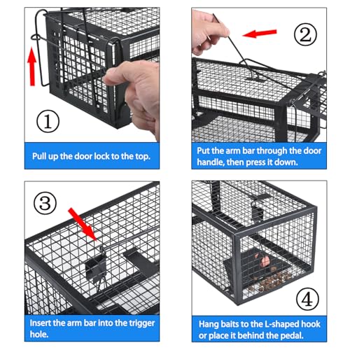 Gingbau 2-Pack Chipmunk Rat Traps Humane Live Mouse Trap Cages - color: Black (2-Pack)