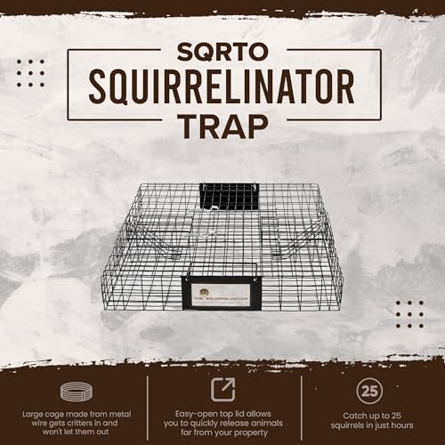Rugged Ranch Squirrel Trap, Live Animal Catch & Release Cage, Squirrelinator, Black - Humane Indoor and Outdoor Catcher for Chipmunks and Squirrels | Squirrel Trap for Indoor or Outdoor, Reusable Catch and Release Cage Catcher for Chipmunks, Squirrels and