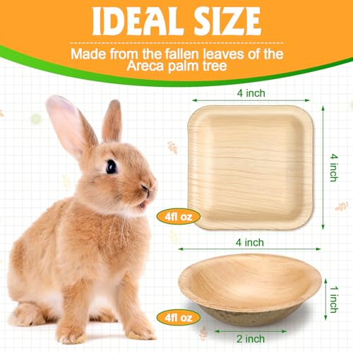 50 Pcs Disposable Palm Leaf Bowls Plates Set for Rabbits 4", Sturdy Bamboo Party Bowls Decorative Compostable Tableware for Bunnies Birthday Outdoor BBQ Picnic Wedding