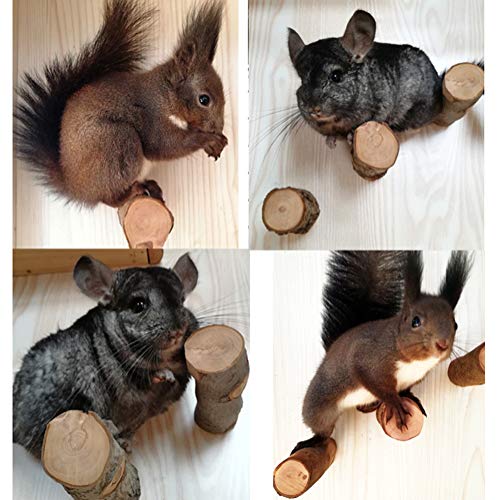 QBLEEV 3 PCS Hamster Chew Toys for Teeth, Chinchilla Cage Accessories Supplies, Guinea Pigs Natural Wood Chews Sticks for Rat Squirrels, Rabbits Perch Toys Birds Standing Platform for Parrot Bunny | Guinea pigs natural wood chews sticks for rat squirrels,