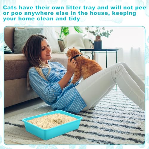 Amyhill 5 Pcs Open Cat Litter Box Kitten Litter Pan with 5 Scooper Medium Plastic Pet Tray Durable Nonstick Kitten Box for Indoor Pets Cats Rabbit Supply Easy to Clean, 14.6x10.6x3.4 Inch (Blue) - color: Blue