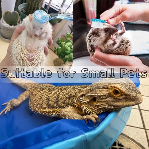 Bearded Dragons Foldable Bathtub with Soft Brush and Towel Set Reptile Accessories Swimming Pool Relax Cleaning Set for Small Pets Guniea Pig Turtle Hedgehog (11.8x3.93In) - color: 11.8x3.93in