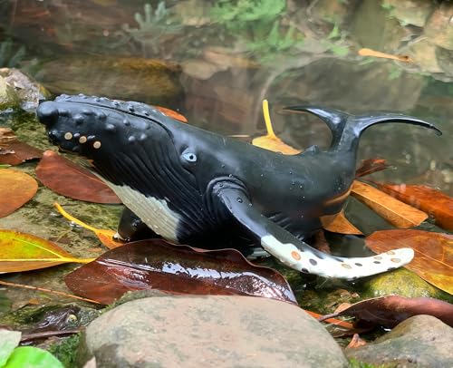Gemini&Genius Humpback Whale Action Figure, Sea Animal Orca Blackfish Toys | Soft Rubber Ocean Shark, Great for Kids Bath Toys Swimming Toys, Beach Toys, Perfect Cake Coppers - color: Humpback Whale