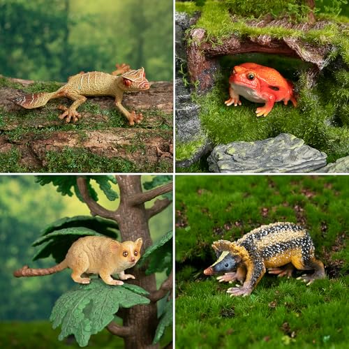 Toymany 12PCS Madagascar Animal Figurines Set, Realistic Lemur Jungle Animal Toys Set Includes Chameleon, Tortoise,Gecko,Fossa,Sifaka -Educational Forest Animals Figure Toy Collection for Kids Adults - style: Jungle Animal-1