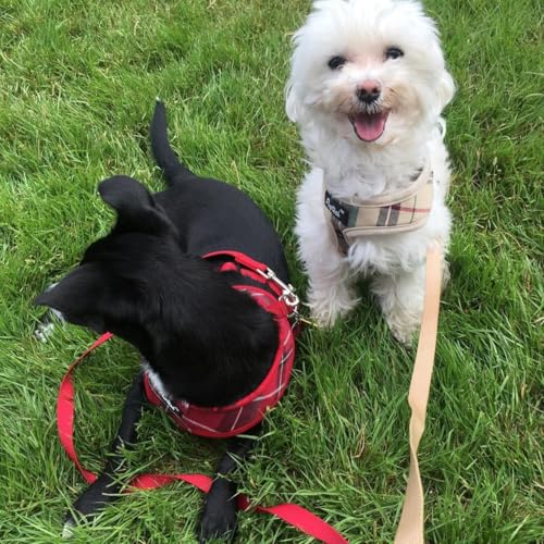 PUPTECK Soft Mesh Dog Harness and Leash Set Pet Puppy Cat Comfort Padded Vest No Pull Harnesses, Red, S - color: Red, size: S (NECK: 12", CHEST: 14"-18")