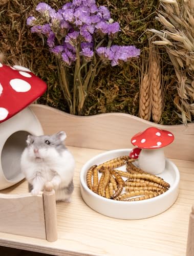 Niteangel Small Animal Snack & Treats - Dried Worms & No Additive | Delivers Essential Vitamins & Minerals- Small Animal Natural Treat for Dwarf Syrian Hamsters Gerbils Mice Degus or Small Pets