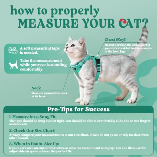 rabbitgoo Cat Harness and Leash Set, Escape Proof Vest, Cherry Grove | Soft Breathable Mesh, Easy Adjustable Fit, Snap Buckles, Sturdy Clip, Reflective Strips, for Kittens & Small Cats Walks, Xxs - color: Cherry Grove, size: Xxs