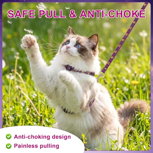 2 Pack Cat Harness and Leash, Escape Proof Adjustable Kitten Harness | Lightweight Soft and Comfortable for Cat Safe Walking and Travel, Multicolor - color: Black Purple
