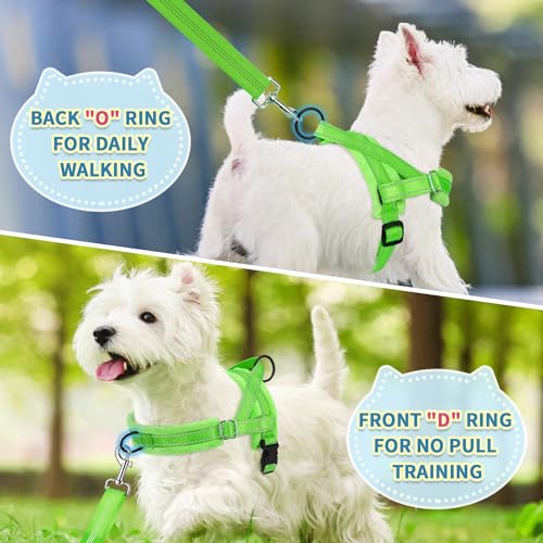 SlowTon No Pull Small Dog Harness and Leash Set with Front Clip | Soft Padded, Neck & Chest Adjustable, Lightweight, Anti-Twist, Puppy Vest Harness Pet Lead Combo for Small Medium Dog, G XS - color: Green, size: X-Small