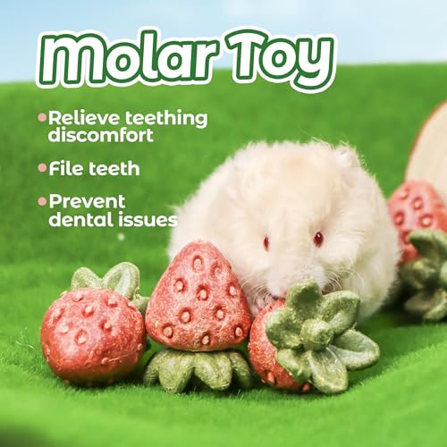 TEEWY Guinea Pig Toys, 4PCS Strawberry Shaped Hamster Toys, Natural Guinea Pig Chew Toys for Teeth Grinding, Hamster Enrichment Toys for Hamster, Gerbil, Chinchilla, Rat - style: 4PCS-Strawberry