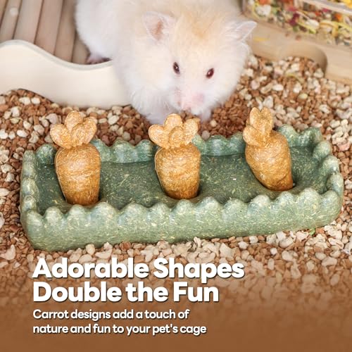 TEEWY Guinea Pig Chew Toys, Prevent Teeth Overgrowth, Natural Timothy Grass & Vegetables, Hamster Chew Toys, Guinea Pig Toys, Chinchilla Toys, 4PCS, Grass Patch & Carrots - style: 4PCS-Grass Patch & Carrots