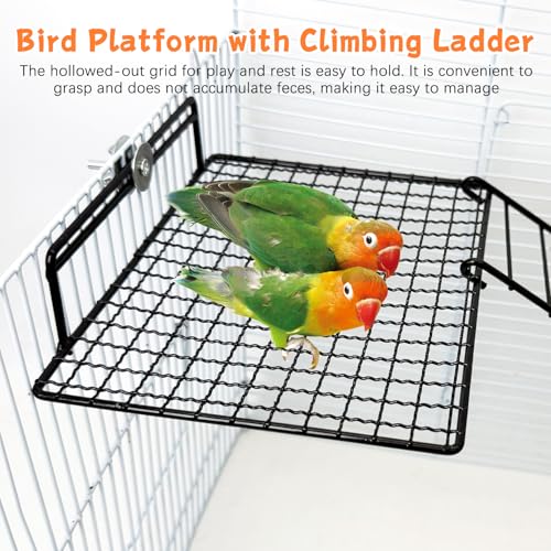 BNOSDM Stainless Steel Bird Cage Platform Climbing Ladder Parrot Perches