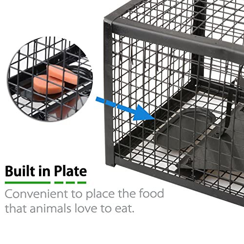 2-Pack Rat Traps Humane Live Mouse Vole Chipmunk Trap Cage (Black) | For Indoors and Outdoors, Catch and Release - color: Black