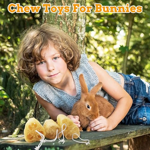 12 Pcs Rabbit Chew Toys Natural Bunny Loofah Chew Toy Chinchilla Teeth Grinding Toys Guinea Pig Fibre-Rich Treats Enrichment Bunny Accessories for Rabbits Hamster (M) - color: M- (12 PCS)