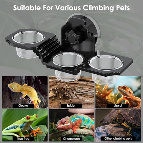 Crested Gecko Feeding Ledge with 6 PVC Cups，Strong Suction Reptile Feeder | Easy-Clean Space-Saving Crested Gecko Food & Water Dish, Ideal for Leopard Geckos, Lizards, Spiders ,Snails and Small Birds
