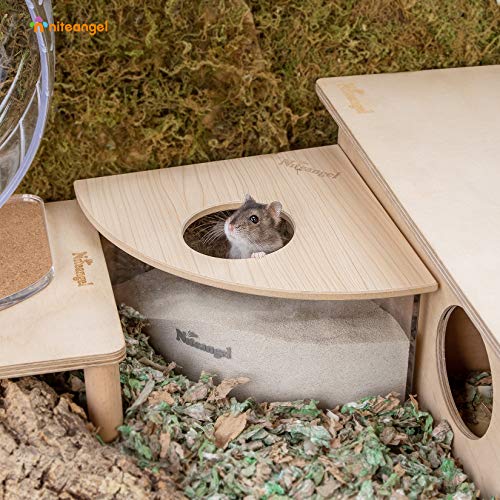 Niteangel Animal Sand-Bath Box: - Acrylic Critter's Sand Bath Shower Room & Digging Sand Container for Hamsters Mice Lemming Gerbils or Other Small Pets (Triangle, Burlywood) | Acrylic Viewable Critter Sand Bath Shower Room & Digging Sand Container for Ha