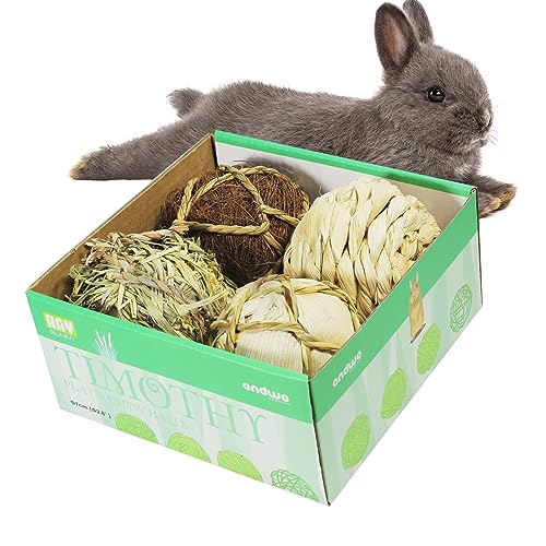 andwe Small Animals Play Balls Rolling Chew Toys & Gnawing Treats for Rabbits Guinea Pigs Chinchilla Bunny Degus - Pet Cage Entertainment Accessories (Pack of 4) - size: Pack of 4