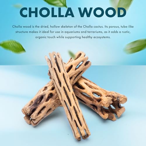 Natural Cholla Wood - Driftwood for Aquariums, Air Plant Base, Hermit Crab and Freshwater Shrimp Hideout, Fish Tank Decoration, Chinchilla Chews, Reptile Habitat Wood - 4 Inch, 3pc - size: 4 Inch (Pack of 3)