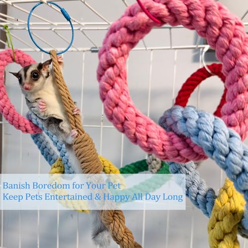 Sugar Glider Climbing Rope Toys Rat Cage Hanging Toys Small Animal Climbing Rings Cage Accessories for Flying Squirrel Sugar Glider Hamster Parrots - size: 3 Pcs