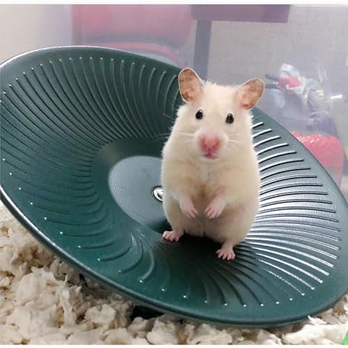 Treadmill Wheel 14" Black - All Metal Exercise Wheel for Chinchillas, Prairie Dogs, Rats, Hedgehogs, Sugar Gliders, Squirrels, Degus, Hamsters & Other Small Animals - Smooth, Fast, Silent, Durable