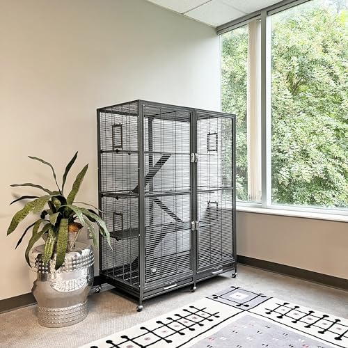 Borneo Small Animal Cage - for Sugar Gliders, Squirrels, Marmosets & Other Small Pets (Cage + Shelf & Ladder Set) - size: Cage + Shelf & ladder Set