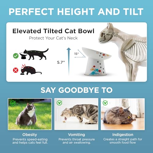 Necoichi Ceramic Raised Cat Food Bowl, 15° Tilted (Fuji, Extra Wide Tilted) - color: Fuji, size: Large Extra Wide Tilted