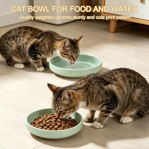 Shallow Elevated Cat Bowls with Bamboo Stand, 6.1 Inch Wide Ceramic Cat Dish Whisker Friendly, 2 Pack Pet Food and Water Plates - color: Mint Green elevated
