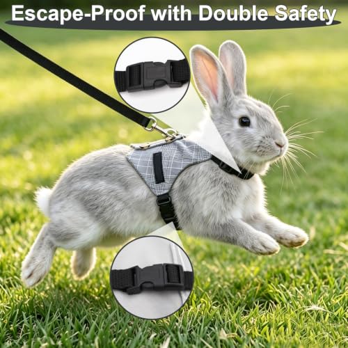 Hypeety Multipurpose Rabbit Vest Harness and Leash Set Adjustable Soft Vest | Breathable and ligthtweight vest, escape-proof buckles, adjustable neck and chest, for bunnies/kittens, formal suit style, L - size: L