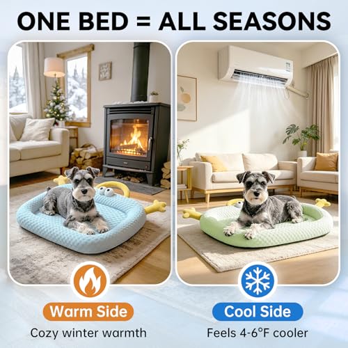 pet Cooling pad, Cute Animal Design, Breathable mesh, Summer Cooling pad (Grey) - color: Grey