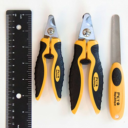 Dog Nail Clippers - Puppy, Large Bird Claws Nails Trimmer Tool – Sharp and Durable Angled Blades with Protective Guard - Size Large with Filer