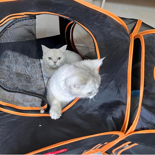 Portable Cat Playpen 2-Room with Tunnel, 3-in-1 Pop-up Cat Dog Crate Play Enclosure with Separate Areas, Foldable Pet Playpen for Puppy Kitten and Small Animals Indoor Outdoor - style: Small