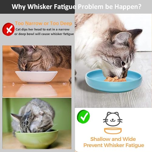 Ceramic Cat Bowls,Shallow Cat Dishes for Food and Water, 6 inch Matte Finish Wide Cat Food Bowl,Whisker Fatigue Free Pet Puppy Kitten Bowl Set of 3,Dishwasher Safe - color: Blue-3pack